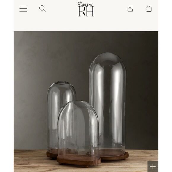 Restoration Hardware 1920S French Glass Cloche - Picture 16 of 16